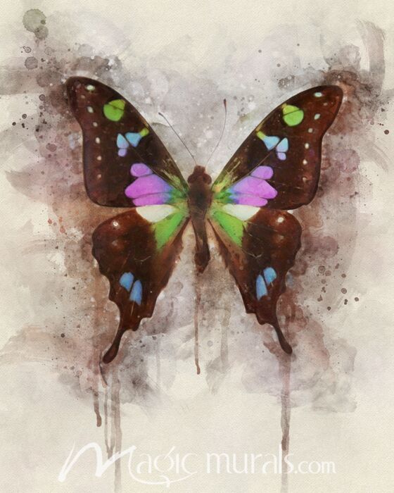 Butterfly Colors Of Nature Wallpaper Wall Mural