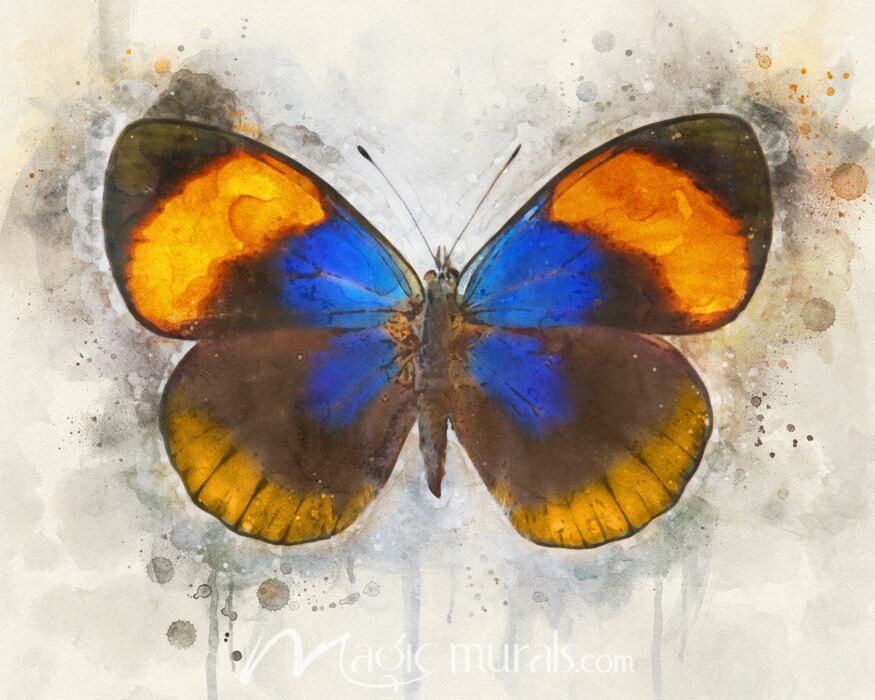 Butterfly Simplicity Wallpaper Wall Mural