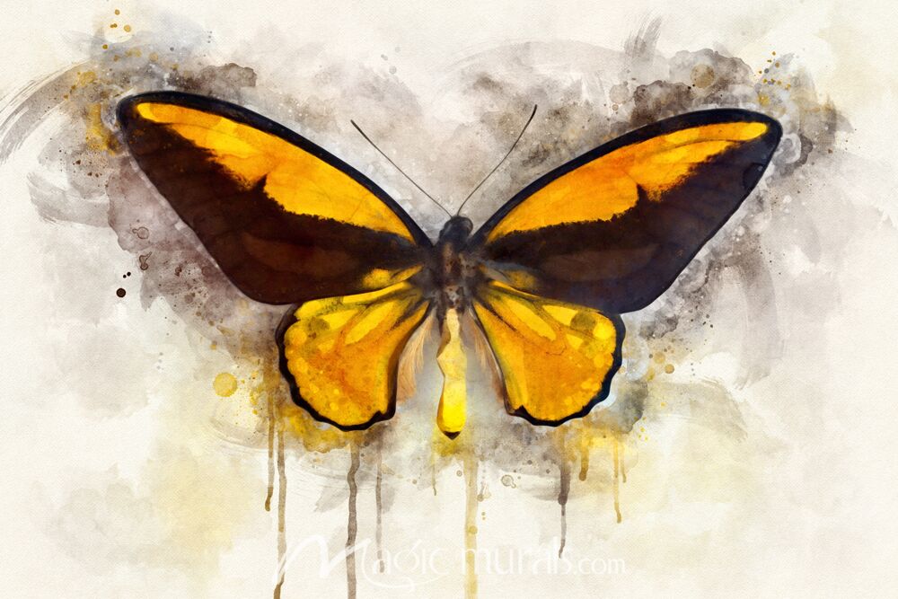 Butterfly The Passion Of Color Wallpaper Wall Mural