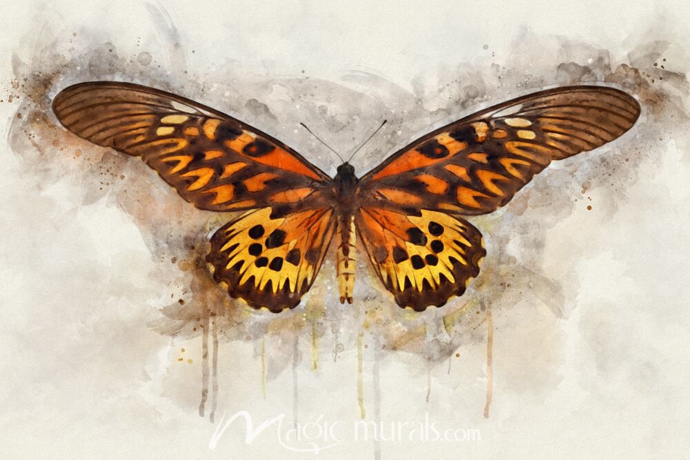 Butterfly Flying Colors Wallpaper Wall Mural