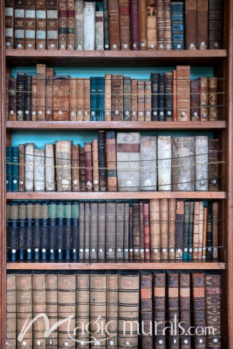 Library Shelf with Old Books Wallpaper Wall Mural