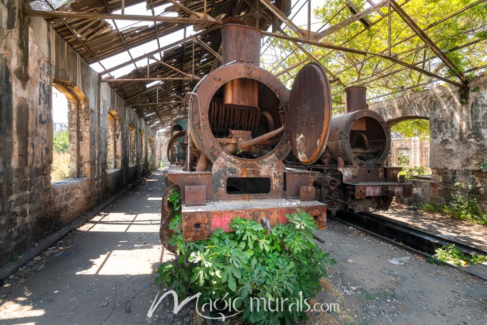 Abandoned Train Wallpaper Wall Mural