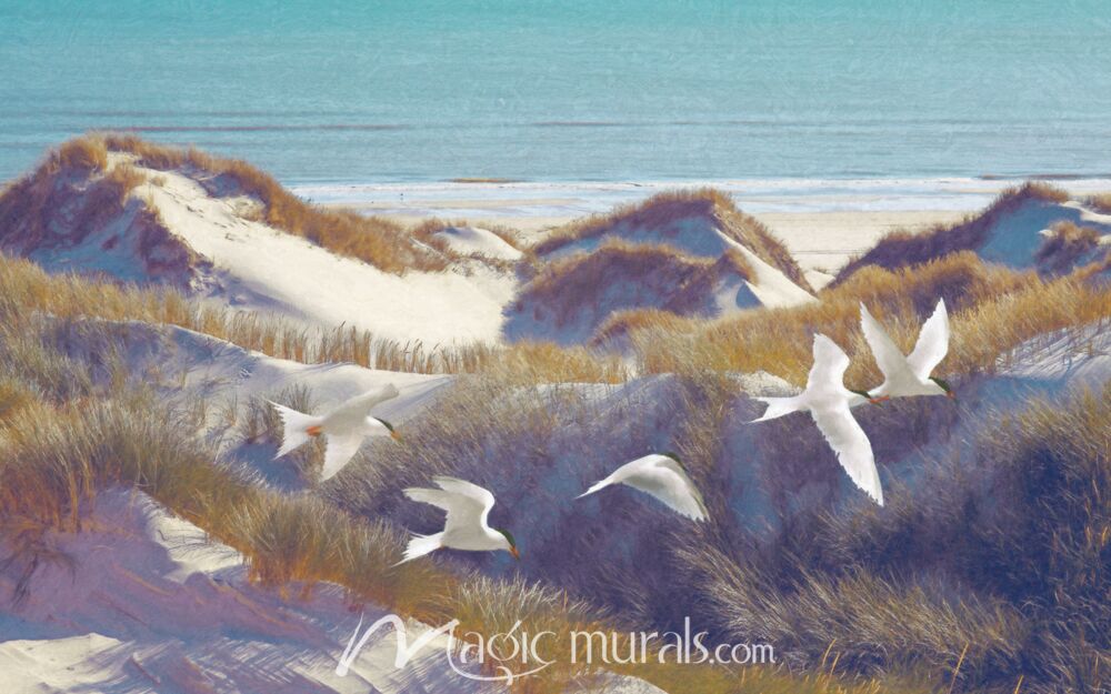 Terns Sandy Fliers Wallpaper Wall Mural