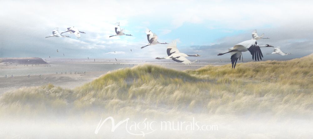 Coastal Soaring Seagulls Wallpaper Wall Mural