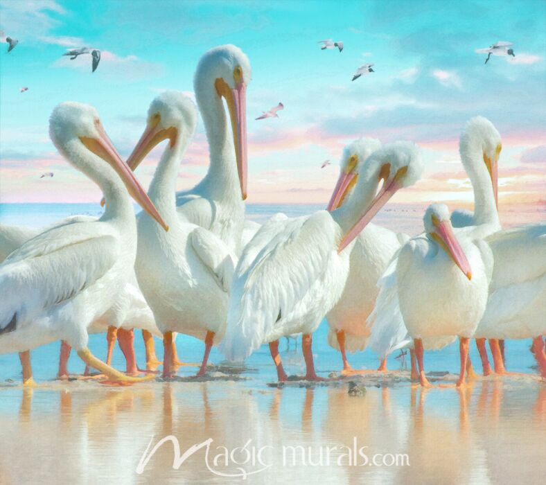 Coastal Pelicans Three Wallpaper Wall Mural