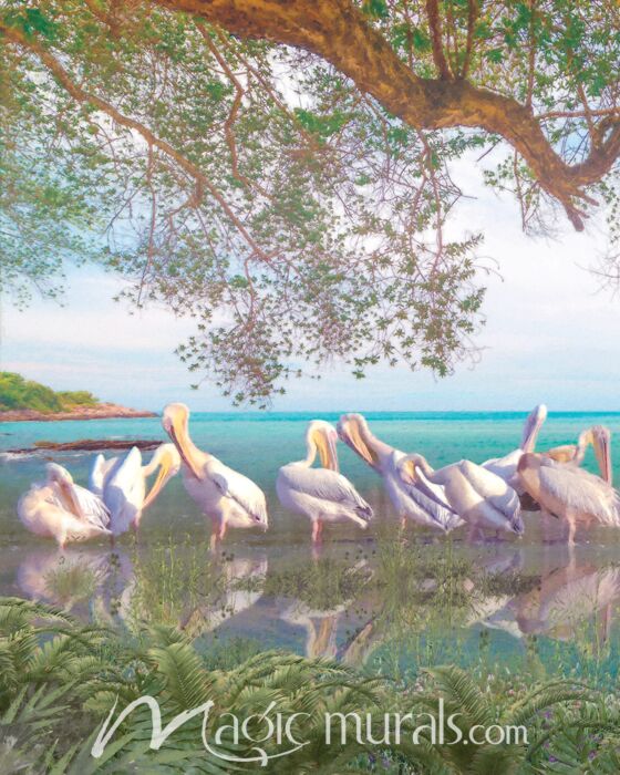 Coastal Pelicans Five Wallpaper Wall Mural