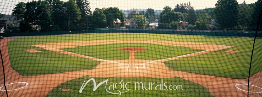 Doubleday Field Cooperstown 1164 Wallpaper Wall Mural