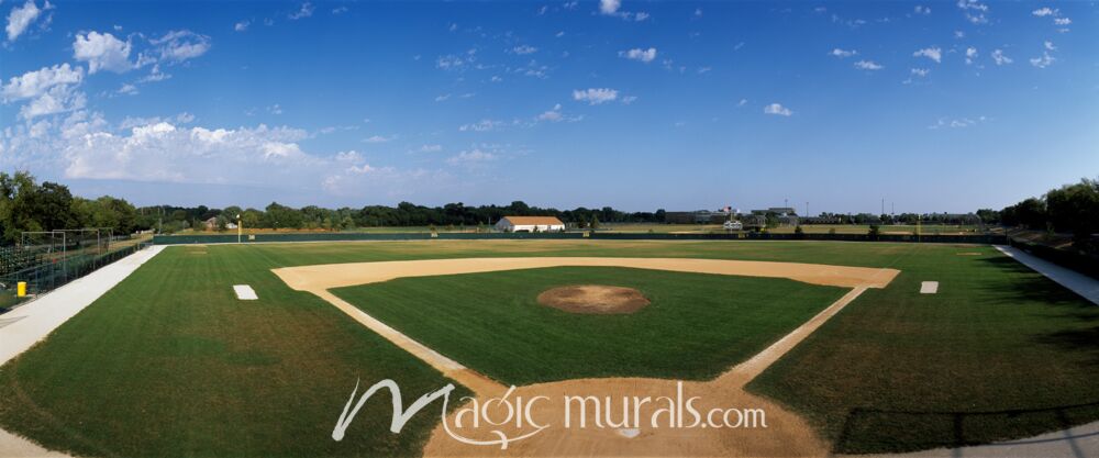 High School Baseball Diamond 1556 Wallpaper Wall Mural