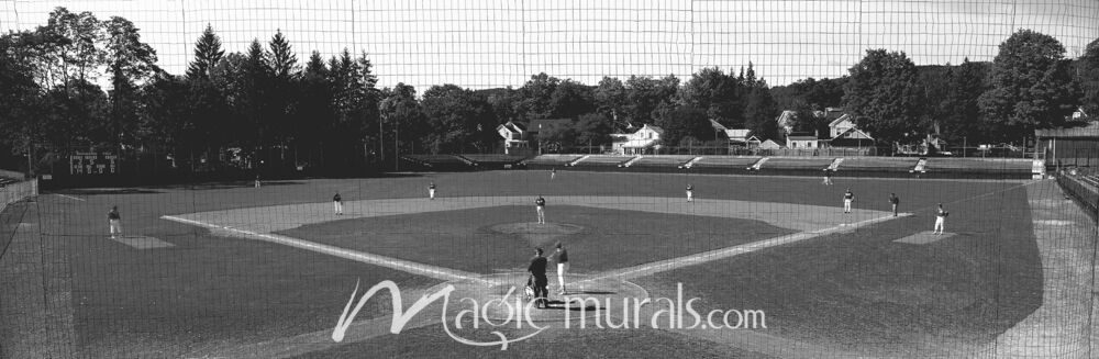 Doubleday Field Cooperstown 2161 Wallpaper Wall Mural