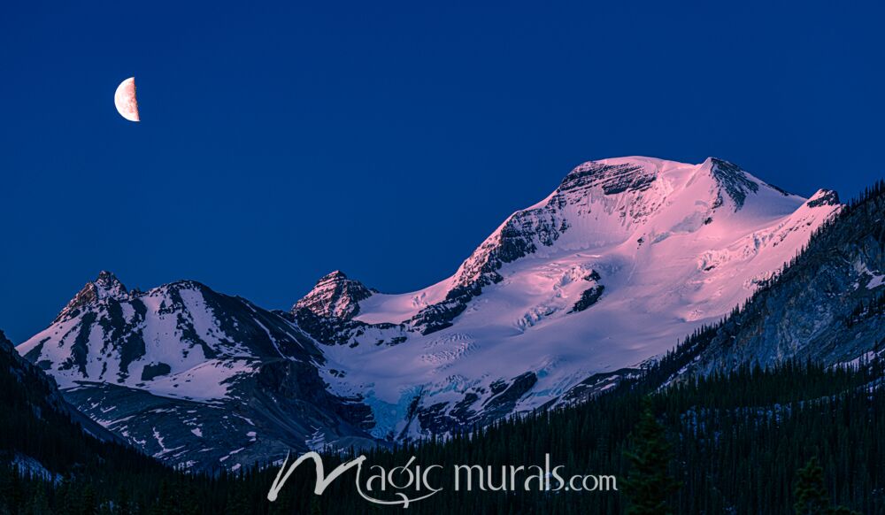 Mount Athabasca Moon 7613 Wallpaper Wall Mural