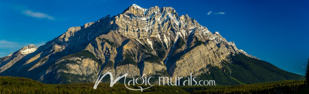 Cascade Mountain Forest 7642 Wallpaper Wall Mural