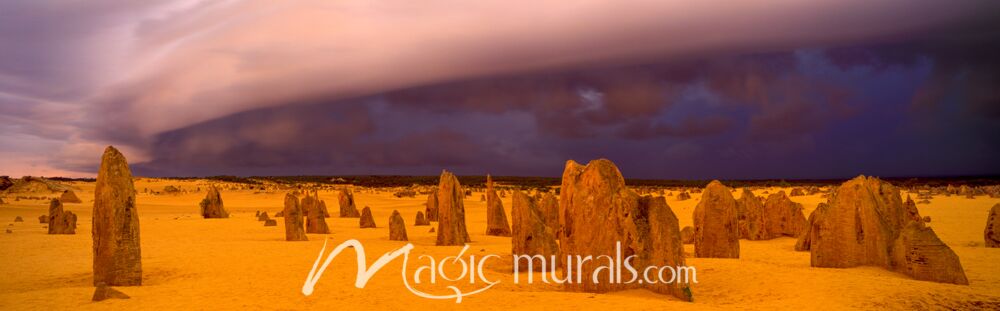 Pinacles Desert Australia 7688 Wallpaper Wall Mural