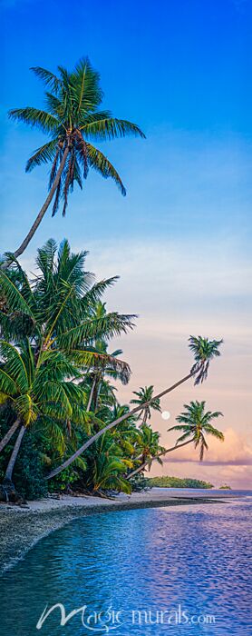 Aitutaki Lagoon Cook Islands 2977 Wallpaper Wall Mural