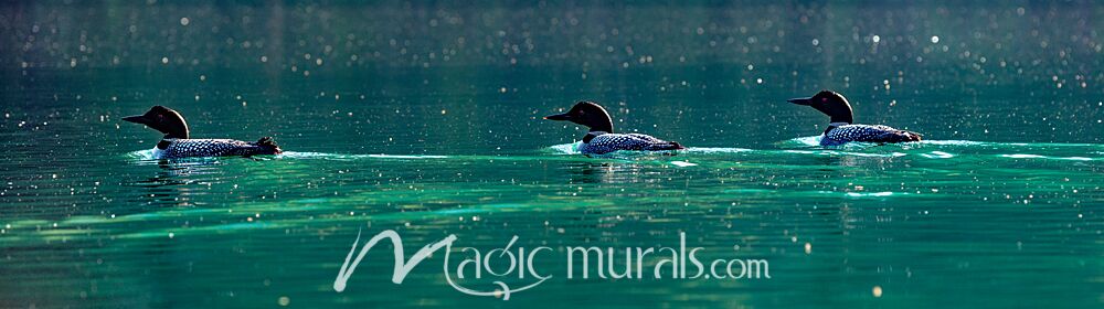 Loons on Whitetail Lake 3060 Wallpaper Wall Mural