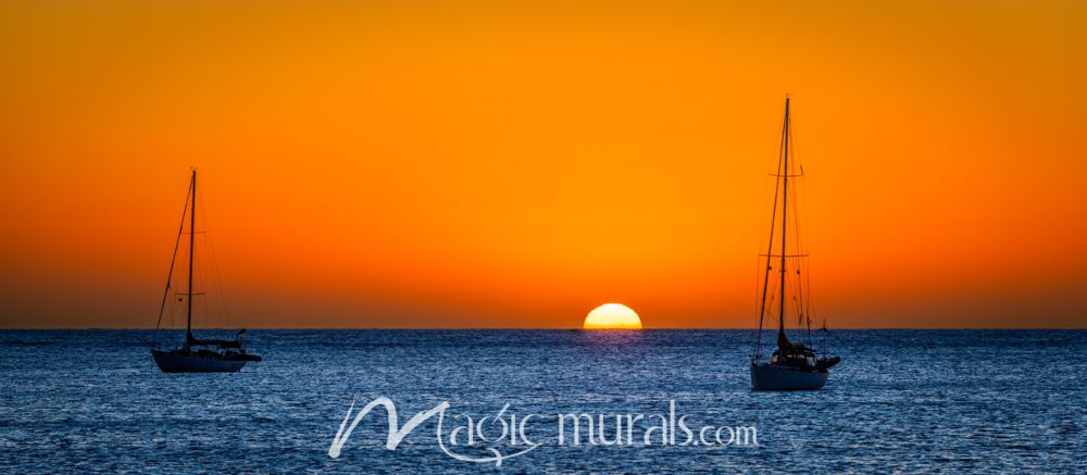 Baja California Sailboat Sunrise 8889 Wallpaper Wall Mural