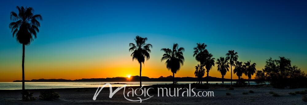 Baja California Palm Tree Sunrise 8900 Wallpaper Wall Mural