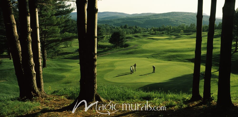 Country Club of Vermont Golf Wallpaper Wall Mural