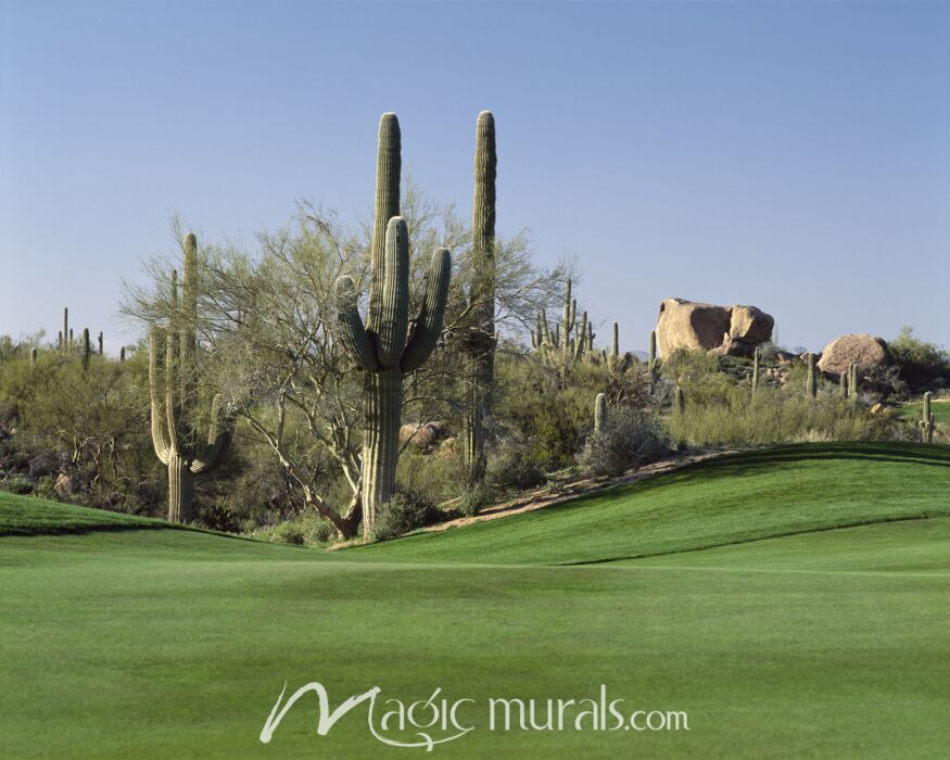 Troon North Golf Club Scottsdale II Wallpaper Wall Mural