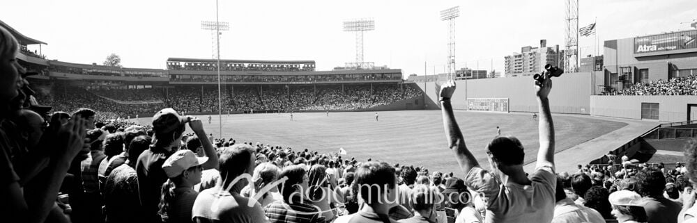 Fenway Park Fans Boston 8974 Wallpaper Wall Mural