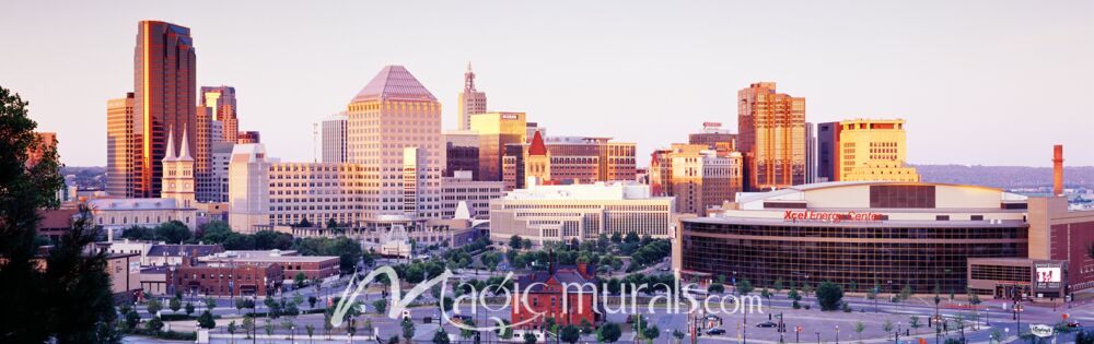 St Paul Skyline 4297 Wallpaper Wall Mural