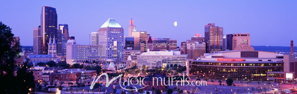 St Paul Skyline 4311 Wallpaper Wall Mural