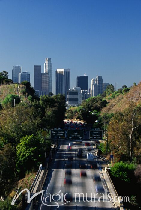 Pasadena Skyline 5678 Wallpaper Wall Mural