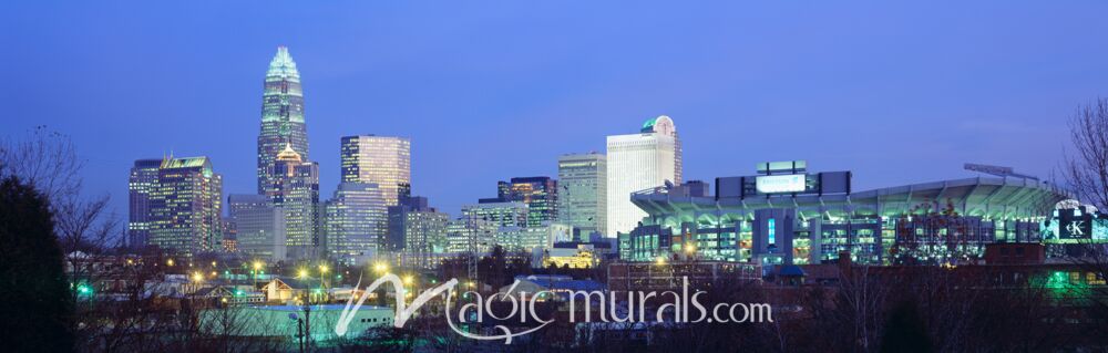 Charlotte NC Skyline 5920 Wallpaper Wall Mural