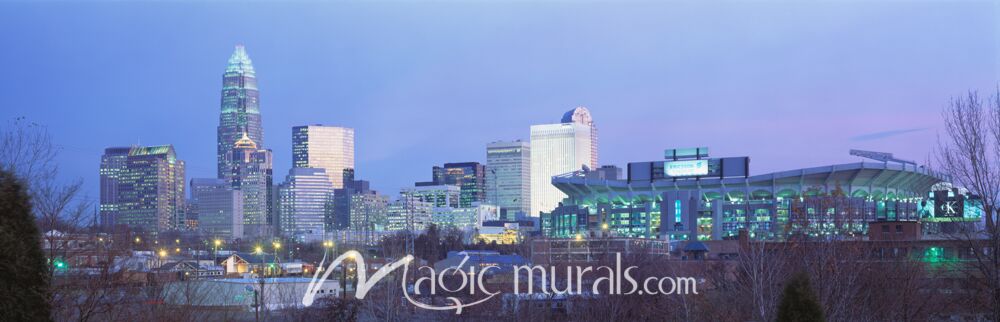 Charlotte NC Skyline 5922 Wallpaper Wall Mural