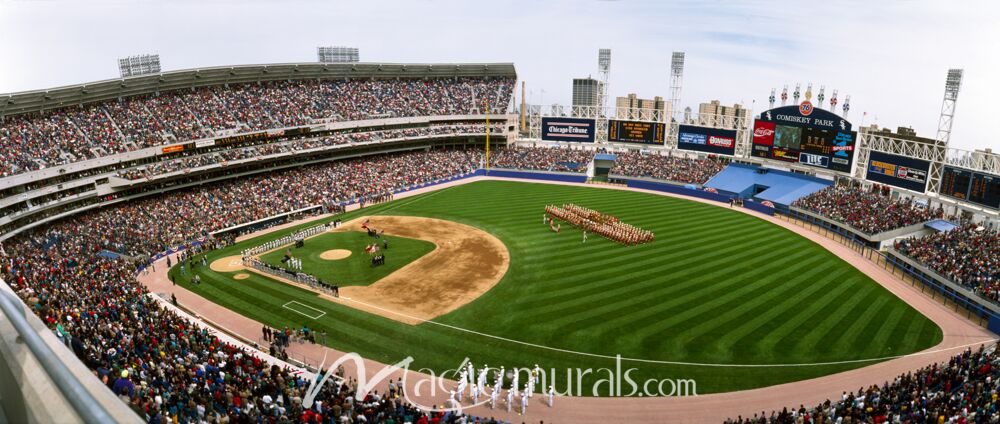 Comsikey Park Chicago 8900 Wallpaper Wall Mural