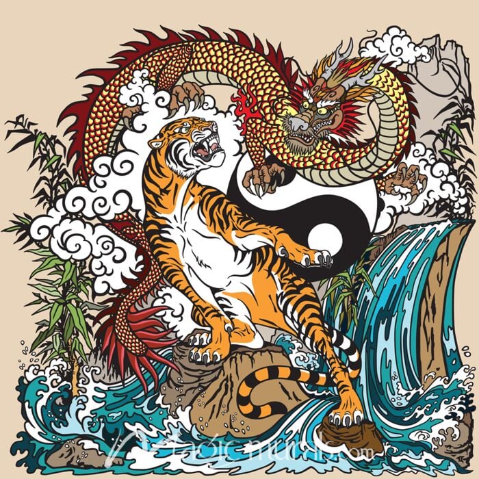 Asian Tiger v Dragon Wallpaper Wall Mural