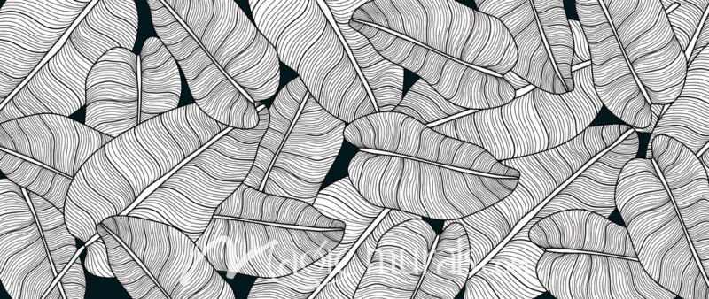 Banana Leaf Line Art 3031 Wallpaper Wall Mural