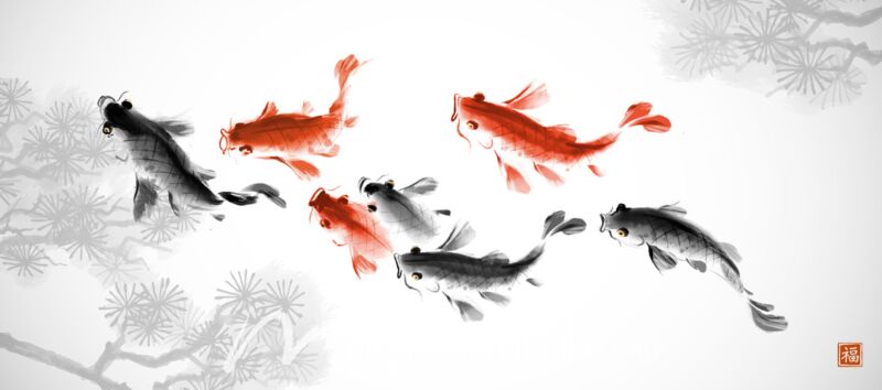 Koi Carp and Pine Ink Wash Painting 7119 Wallpaper Wall Mural