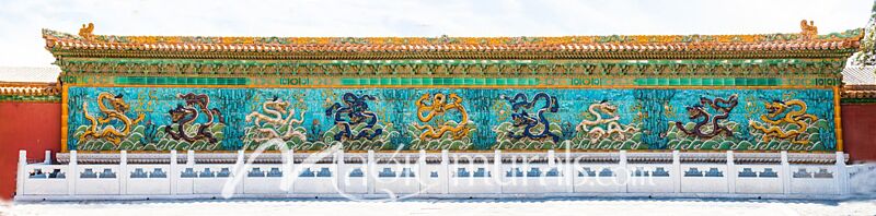 Nine Forbidden City Dragons Wallpaper Wall Mural