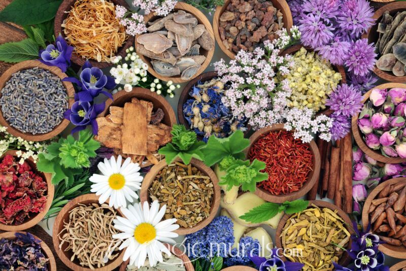 Chinese Herbal Medicine 4263 Wallpaper Wall Mural