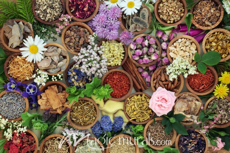 Chinese Herbal Medicine 1046 Wallpaper Wall Mural