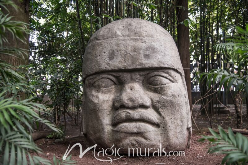 Olmec Head 4646 Wallpaper Wall Mural