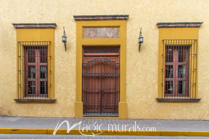 Doors of Jalisco 8345 Wallpaper Wall Mural