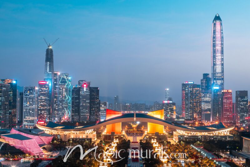 Shenzhen Skyline at Night Wallpaper Wall Mural