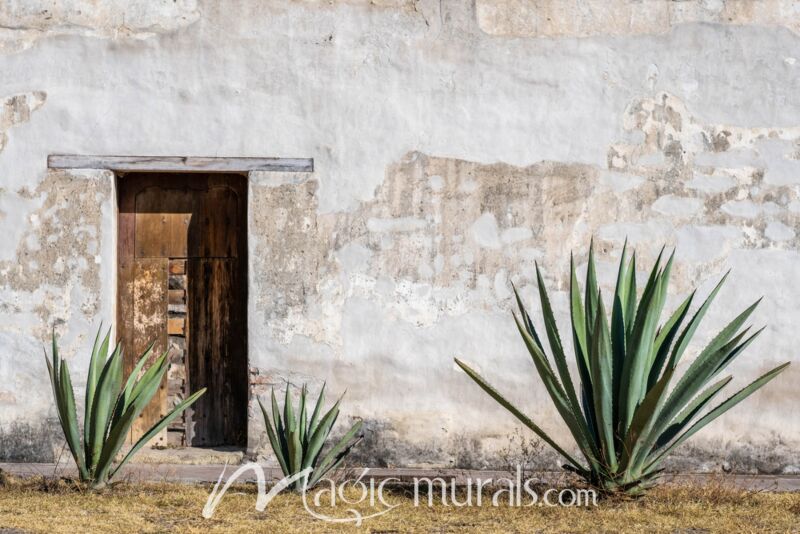 Oaxaca Agave Plants 5018 Wallpaper Wall Mural