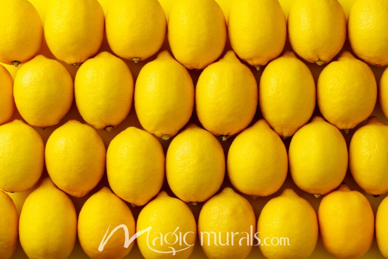 Lemons 1475 Wallpaper Wall Mural