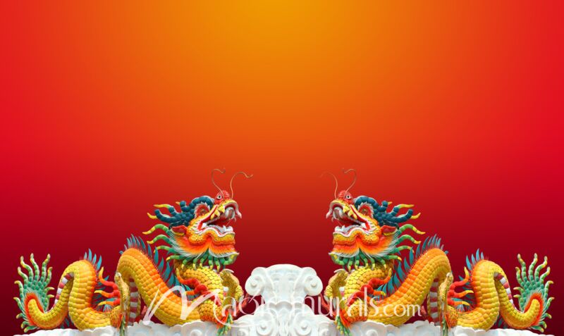 Chinese Dragon Wallpaper 3747 Wallpaper Wall Mural