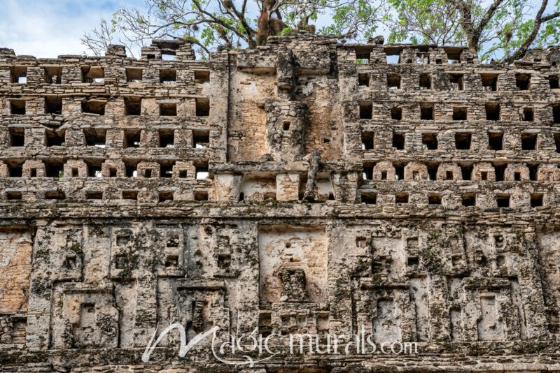 Yaxchilan Temple Ruins 2674 Wallpaper Wall Mural