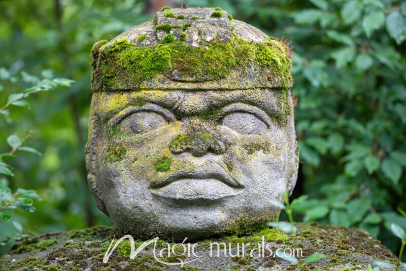 Olmec Head 0207 Wallpaper Wall Mural