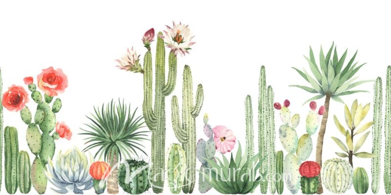 Cacti and Succulents 7082 Wallpaper Wall Mural