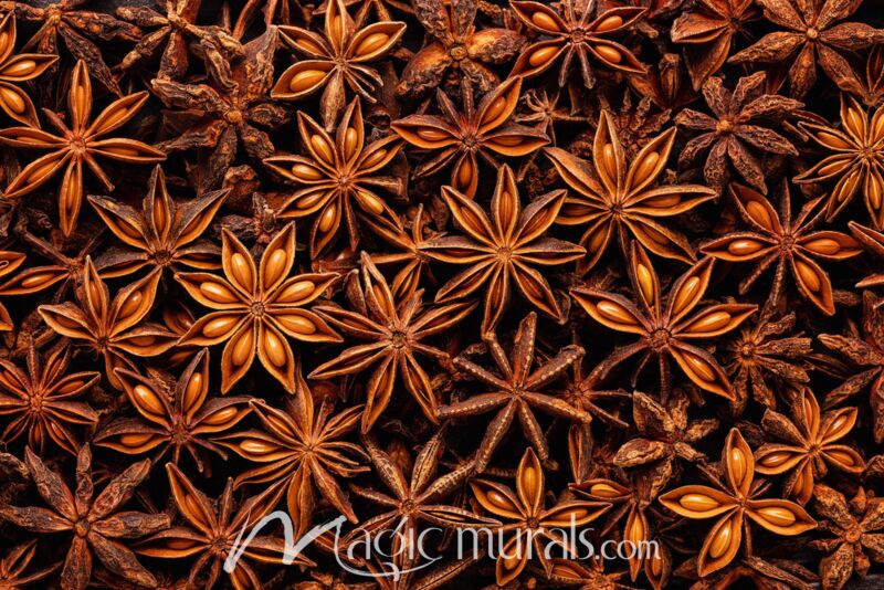 Star Anise Seeds 7789 Wallpaper Wall Mural