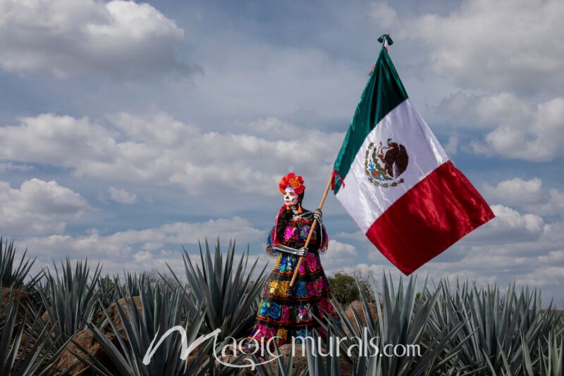 Catrina de Jalisco 3643 Wallpaper Wall Mural