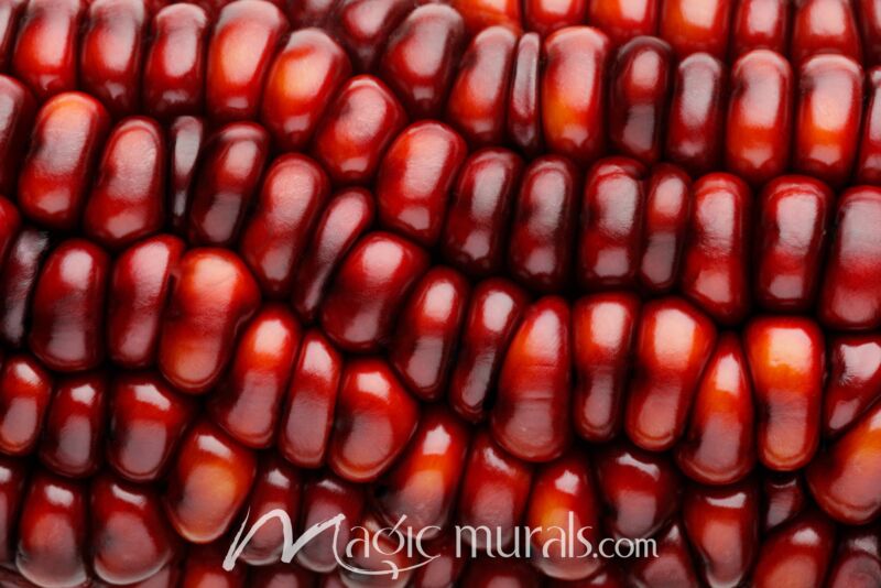 Red Corn Macro 8647 Wallpaper Wall Mural