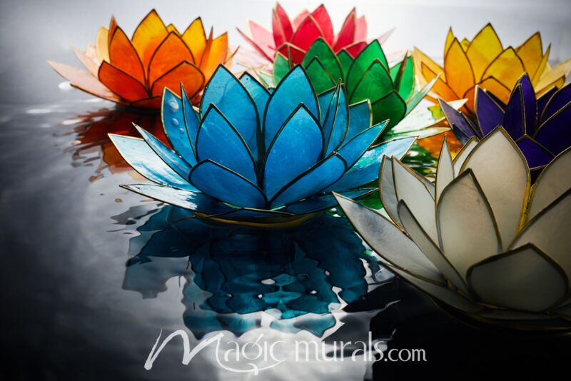 Lotus Vesak Lanterns Wallpaper Wall Mural