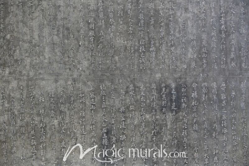 Ancient Chinese Calligraphy 3646 Wallpaper Wall Mural