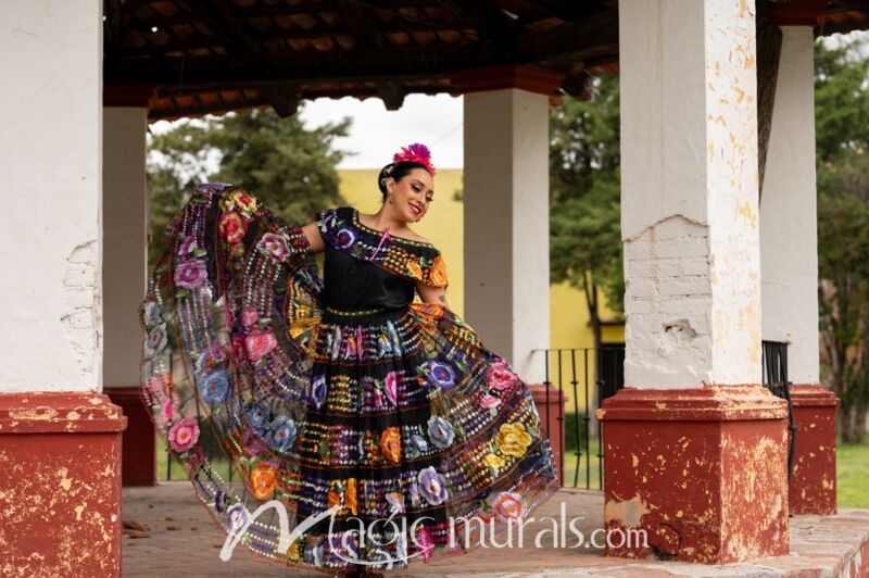 Mexican Folk Dancer 1779 Wallpaper Wall Mural